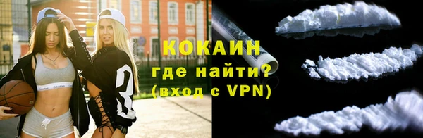 гашик Пестово