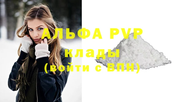 гашик Пестово