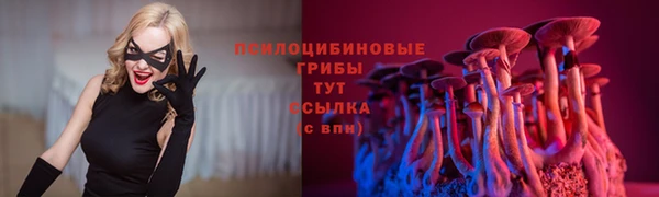 скорость mdpv Переславль-Залесский