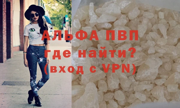 гашик Пестово