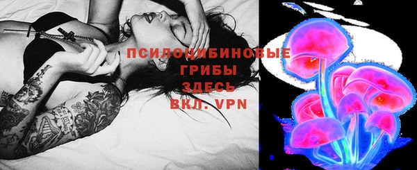 гашик Пестово