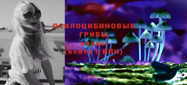 гашик Пестово