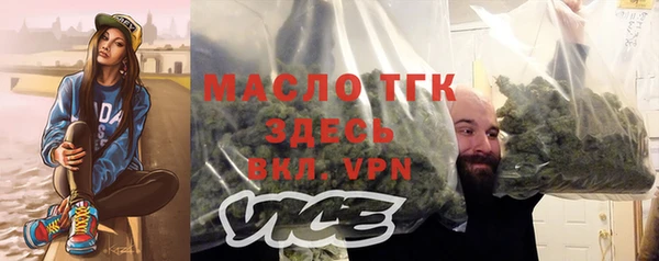 гашик Пестово