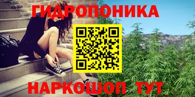 MDMA Берёзовский